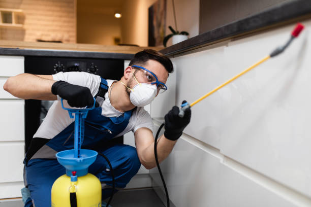 Best Ant Control Services  in Moundridge, KS