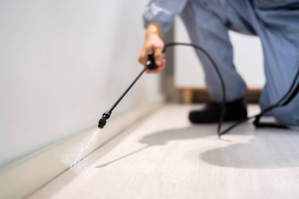 Best Pest Control for Homes  in Moundridge, KS