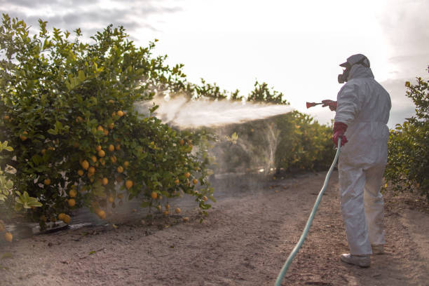 Best Commercial Pest Control Services  in Moundridge, KS