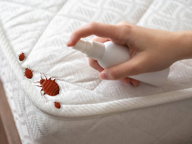 Best Bed Bug Extermination  in Moundridge, KS