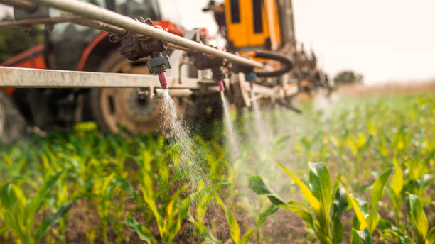 Best Best Pest Control Companies  in Moundridge, KS