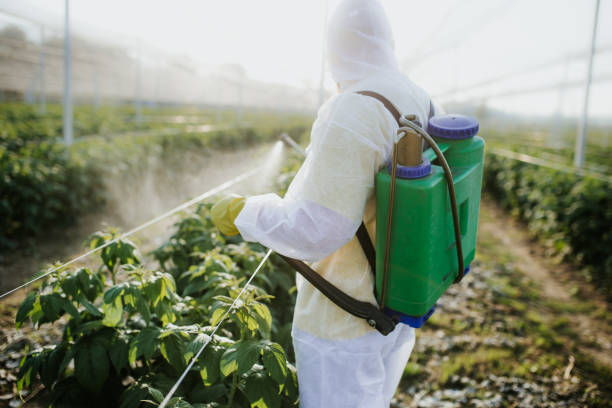 Best Pest Control Near Me  in Moundridge, KS